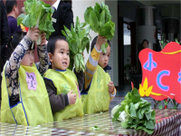 幼儿园卖菜1.jpg